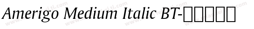 Amerigo Medium Italic BT字体转换